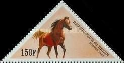 Horse (Equus ferus caballus)
