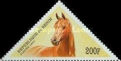 Horse (Equus ferus caballus)