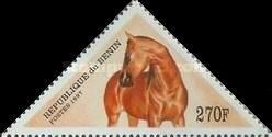 Horse (Equus ferus caballus)