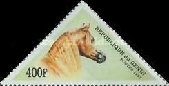 Horse (Equus ferus caballus)