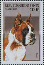 German Boxer (Canis lupus familiaris)