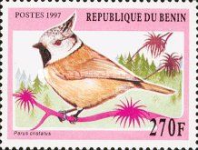 Crested Tit (Parus cristatus)