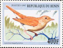 Common Nightingale (Luscinia megarhynchos)