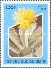 Faucaria lupina
