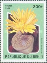 Lithops aucampiae