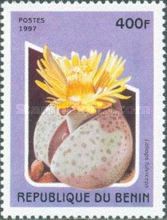 Lithops fulviceps