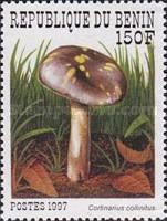 Cortinarius collinitus