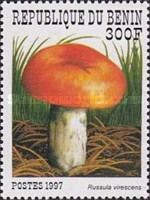 Russula virescens