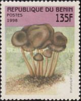 Tephrocybe carbonaria