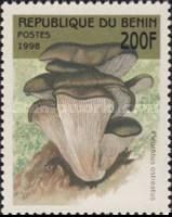 Pleurotus ostreatus