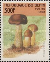 Tylopilus felleus