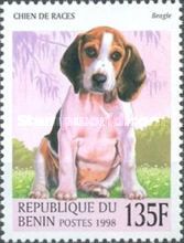 Beagle (Canis lupus familiaris)
