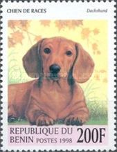 Dachshund (Canis lupus familiaris)
