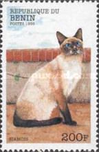 Siamese Cat (Felis silvestris catus)