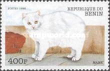 Manx (Felis silvestris catus)