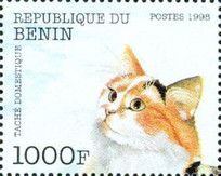 Domestic Cat (Felis silvestris catus)