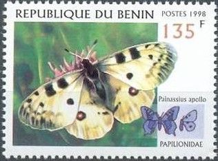 Apollo (Parnassius apollo)