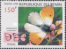 Orange Tip (Anthocharis cardamines)