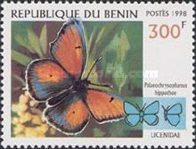 Purple-egged Copper (Palaeochrysophanus hippothoe)
