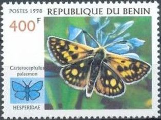 Chequered Skipper (Carterocephalus palaemon)