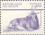 Sable Antelope (Hippotragus niger)
