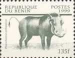 Desert Warthog (Phacochoerus aethiopicus)