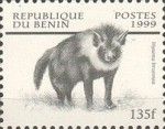 Brown Hyaena (Hyaena brunnea)