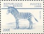 Mountain Zebra (Equus zebra)