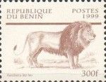 Lion (Panthera leo)
