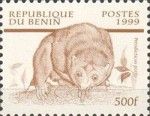 West African Potto (Perodicticus potto)