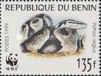 Ball Python (Python regius)