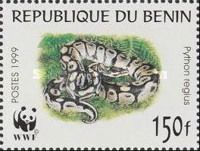 Ball Python (Python regius)