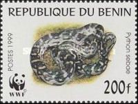 African Rock Python (Python sebae)