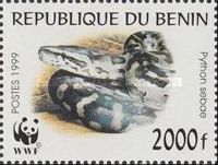 African Rock Python (Python sebae)