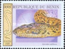 Jamaican Boa (Epicrates subflavus)