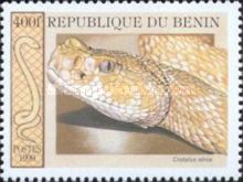 Western Diamondback Rattlesnake (Crotalus atrox)