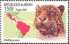 Jaguar (Panthera onca)