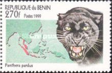 Leopard (Panthera pardus)