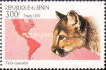 Mountain Lion / Cougar (Felis concolor)