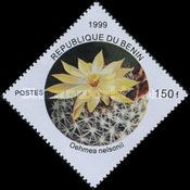 Oelmea nelsonii
