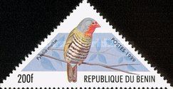 Green-winged Pytilia (Pytilia melba)