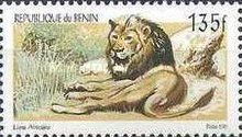 Lion (Panthera leo)