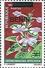 Eremomastax speciosa