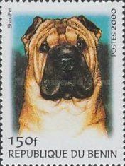 Shar-Pei (Canis lupus familiaris)