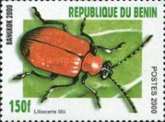 Lily Leaf Beatle (Lilioceris lilii)