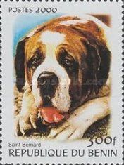 Saint Bernard Dog (Canis lupus familiaris)