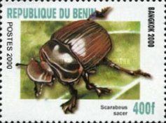 Scarab Beetle (Scarabaeus sacer)