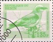 European Roller (Coracias garrulus)