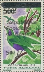 Emerald Starling (Coccyolius iris)