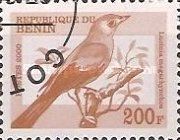 Common Nightingale (Luscinia megarhynchos)